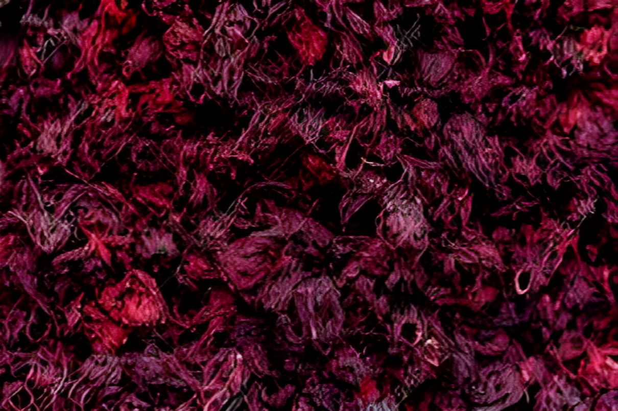 Getrocknete Hibiskusblüte