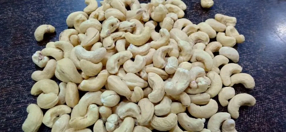 Cashew Kernel