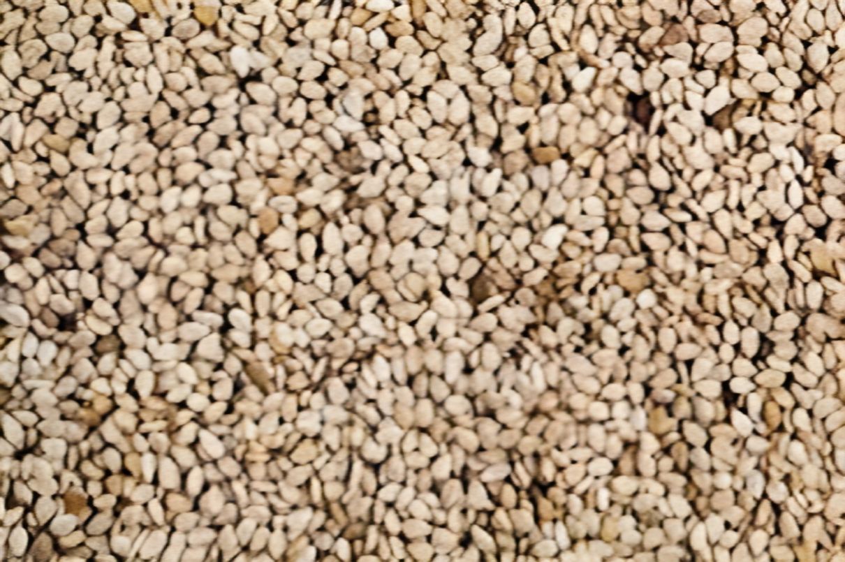 Sesame Seeds